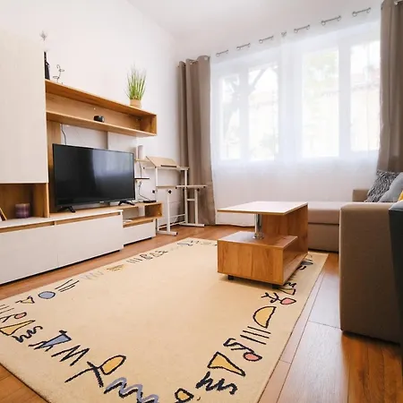 Apartment In The Center *